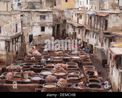 Pelle Chouwara conceria di Fez, Marocco Foto Stock