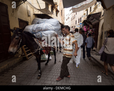 Uomo con donkey nelle strade della medina di Fez, Marocco Foto Stock