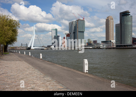 Città di Rotterdam, waterfront Nieuwe Maas fiume in Paesi Bassi, South Holland provincia. Foto Stock