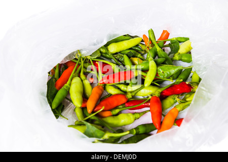 Miscelati piccoli uccelli occhio Peperoncino Piccante Foto Stock