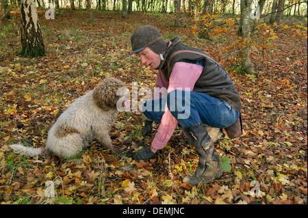 Tartufo professionale hunter Tom Lywood assistito dal suo Tartufo Italiano cani da caccia la ricerca in una Berkshire,UK woodland per la lingua inglese i tartufi neri Foto Stock