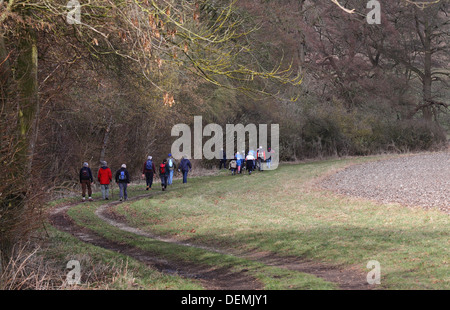 Un gruppo di adulti senior escursionisti in un paese di lingua inglese Trail Foto Stock