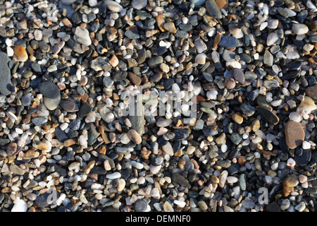 Ciottoli bagnata sulla spiaggia Foto Stock