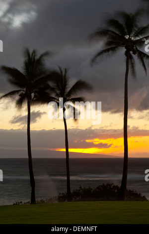 Napili Point con palme di cocco al tramonto in Maui, Hawaii. Foto Stock