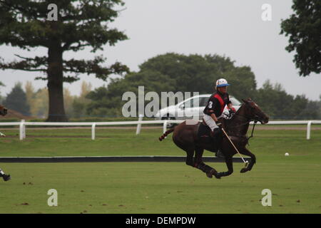 Berkshire, Regno Unito. Il 21 settembre 2013. Royal County of Berkshire Polo Club - Oman aria Trofeo Lambourne Credito: Ernst Klinker/Alamy Live News Foto Stock