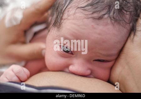 Neonato allattamento al seno Foto Stock