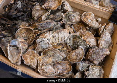 Ostriche sulla vendita, la Bastille mercato del giovedì, Parigi, Francia Foto Stock