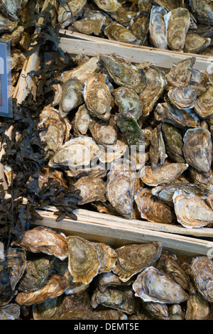 Ostriche sulla vendita, la Bastille mercato del giovedì, Parigi, Francia Foto Stock