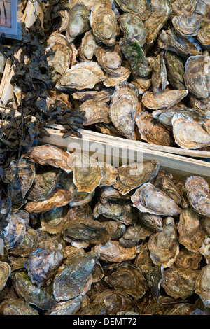 Ostriche sulla vendita, la Bastille mercato del giovedì, Parigi, Francia Foto Stock