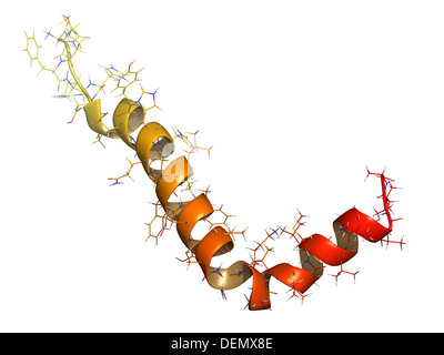 Beta-amiloide (Abeta) peptide, struttura chimica. Componente principale delle placche trovati nella malattia di Alzheimer. Foto Stock