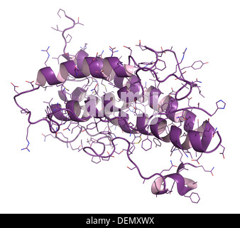 Ormone della crescita umano (hGH, somatotropina molecola). Ormone naturale che viene utilizzata sia come una droga e come un agente di drogaggio. Foto Stock