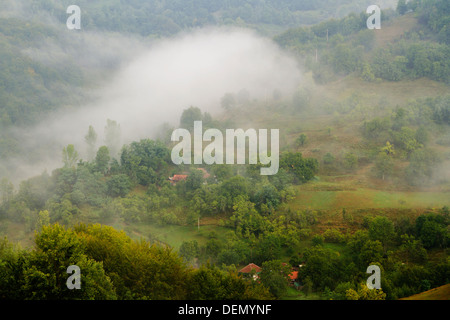 Nebbia paesaggio estivo in Apuseni Mountains-Romania Foto Stock