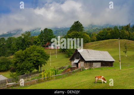 Mattinata estiva del paesaggio in Apuseni Mountains-Romania Foto Stock