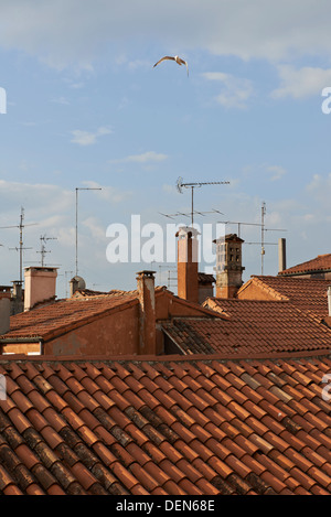 Tetti di Venezia con antenna TV e seagull Foto Stock