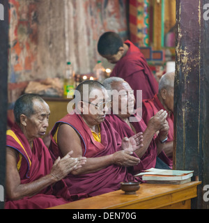 Un monaco buddista provincia del Ladakh. Himalaya indiano. Foto Stock