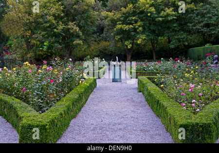 Bella classici giardini di rose a VanDusen Botanical Garden in Vancouver, British Columbia, Canada. Foto Stock