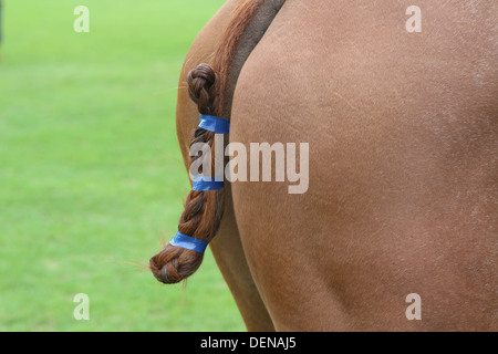 Berkshire, Regno Unito. Il 21 settembre 2013. Royal County of Berkshire Polo Club - Oman aria Trofeo Lambourne Foto Stock