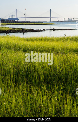 Vista del Arthur Ravenel Jr Bridge e marsh da waterfront park nel quartiere storico di Charleston, Sc. Foto Stock