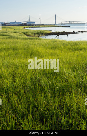 Vista del Arthur Ravenel Jr Bridge e marsh da waterfront park nel quartiere storico di Charleston, Sc. Foto Stock