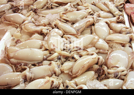 Fresche seppie per la vendita nel mercato del pesce Foto Stock