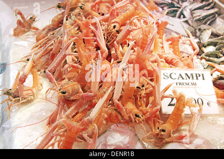 Un mazzetto di scampi freschi in un mercato del pesce Foto Stock