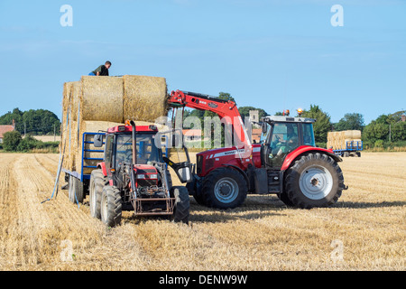 Il carico del trattore round le balle di paglia sul rimorchio, Norfolk, Agosto Foto Stock