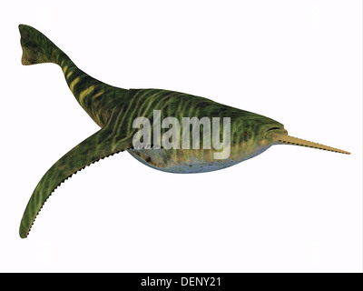 Doryaspis è un genere estinto di primitive jawless pesce che visse nel periodo Devoniano. Foto Stock