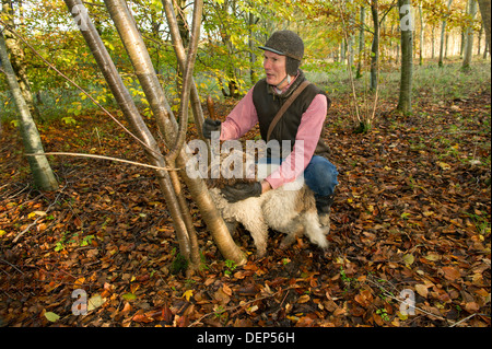 Tartufo professionale hunter Tom Lywood assistito dal suo Tartufo Italiano cani da caccia la ricerca in una Berkshire,UK woodland per la lingua inglese i tartufi neri Foto Stock