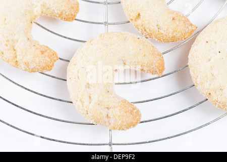 Primo piano del natale vaniglia mezzelune su una griglia di raffreddamento Foto Stock