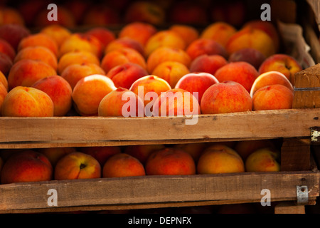 Pesche al venerdì Bazaar, Alanya, Turchia Foto Stock