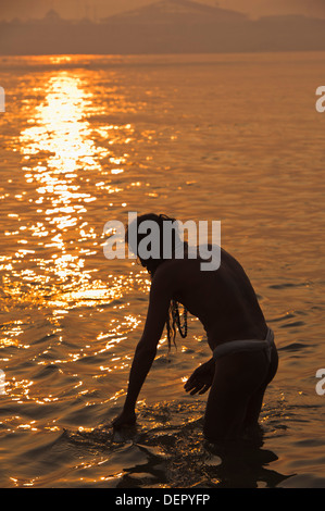 Sadhu prendendo un santo tuffo nel fiume Gange Al Maha Kumbh, Allahabad, Uttar Pradesh, India Foto Stock