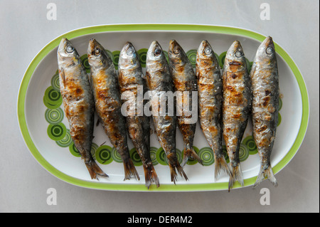 Otto grigliate di sardine (Sardina pilchardus) sulla piastra Foto Stock