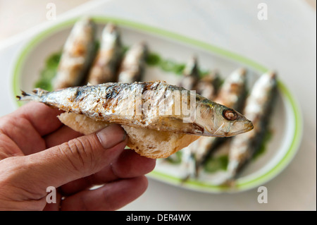 Maschio lato detiene il pezzo di pane di fresco con grigliate di sardine (Sardina pilchardus) . Piastra con 7 sardine in background Foto Stock