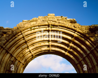 Strata Florida, Ceredigion: dettaglio della faccia esterna della magnifica W porta arcata del C13th abbazia cistercense chiesa nel tardo pomeriggio di sole. Foto Stock