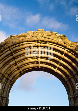 Strata Florida, Ceredigion: dettaglio della faccia esterna della magnifica W porta arcata del C13th abbazia cistercense chiesa nel tardo pomeriggio di sole. Foto Stock