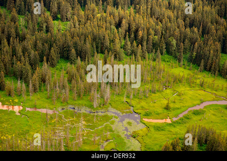 Juneau, in Alaska - USA - Ghiacciai acqua e foreste Foto Stock