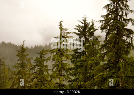 Juneau, in Alaska - USA - Ghiacciai acqua e foreste Foto Stock