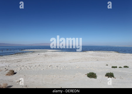 Tossico chiamato lago Salton Sea situato vicino a Coachella Valley in California. Una volta che una popolare località di mare ora un haunted posto vuoto. Foto Stock