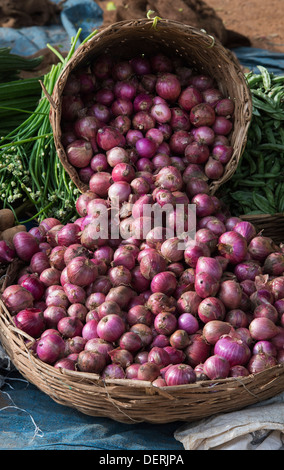 Le cipolle rosse in cesti in un villaggio indiano il mercato. India Foto Stock