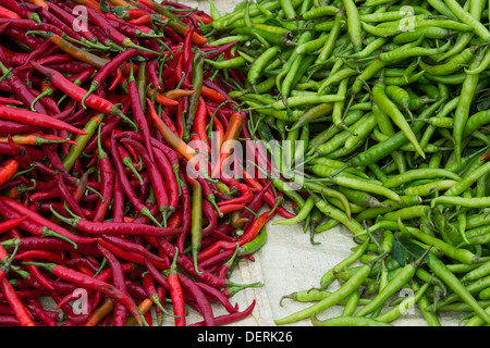 Rosso fresco e verde chilis presso un mercato indiano. Andhra Pradesh, India Foto Stock