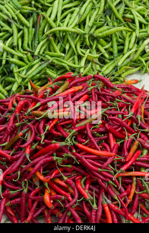 Rosso fresco e verde chilis presso un mercato indiano. Andhra Pradesh, India Foto Stock