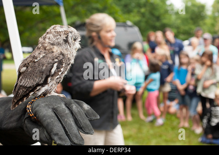 Silent Ali Raptor Rehab ed istruzione di New York presenta live bird dimostrazione ad Austerlitz, NY Mirtillo Festival. Foto Stock