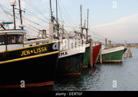 Barche schierate al molo di Montauk Harbour, New York. Foto Stock