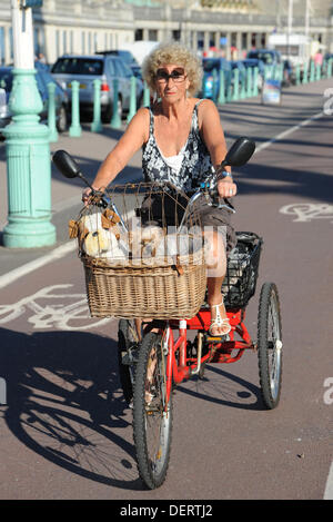 Signora ciclismo il suo triciclo lungo Brighton Seafront con il suo cane nella parte anteriore carrello in clima caldo REGNO UNITO Foto Stock