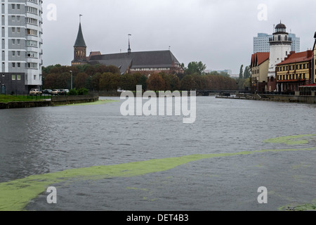 Cattedrale di Königsberg Fischdorf e al fiume Pregolya, Kaliningrad, Russia Foto Stock