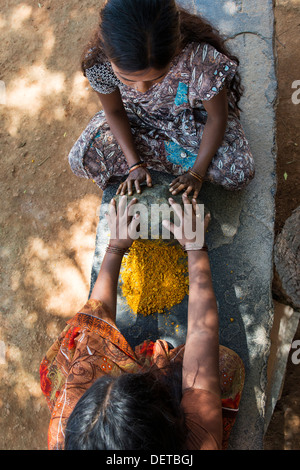 Due donne indiane la frantumazione di radici di curcuma in polvere con una pietra rotonda in una zona rurale villaggio indiano. Andhra Pradesh, India Foto Stock