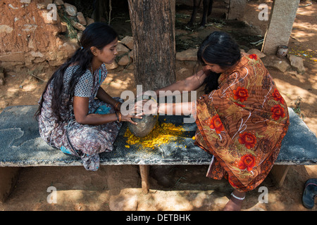 Due donne indiane la frantumazione di radici di curcuma in polvere con una pietra rotonda in una zona rurale villaggio indiano. Andhra Pradesh, India Foto Stock