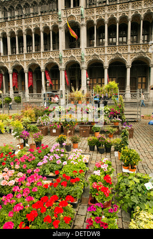 Il mercato dei fiori nella Grand Place di Bruxelles Foto Stock