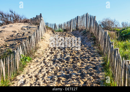 Il sentiero tra recinti di legno sull'Atlantico Dune in Bretagna, nel nord-ovest della Francia. Foto Stock