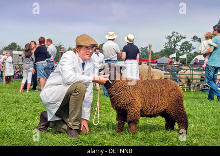 Un ragazzo con pecore a Berkeley mostrano, Gloucestershire Aug 2013 Foto Stock